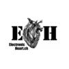 20200619-1911-Electronic Heart